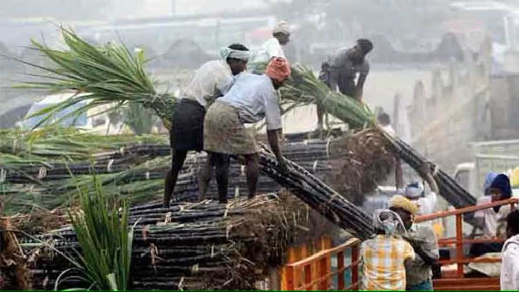 cheating in the name of providing labour for sugarcane cutting