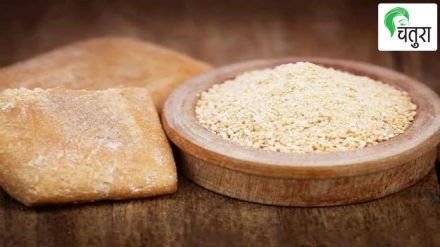 Asafoetida(Hing)