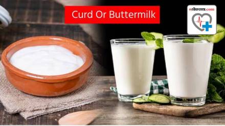 Which is more helpful for weight loss: curds or buttermilk?