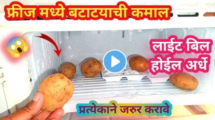 kitchen tips in marathi potato use in fridge save electrictity light bill kitchen jugaad video viral