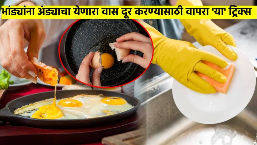 how to reomve egg smell from utensill esaily tips to remove eggs smell from utensils kitchen tips for washing dishes