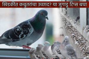 Get Rid Of Pigeon From Window Balcony Home Cleaning Jugadu Tips That Will Save Your Money And Health Issues Simple Trick