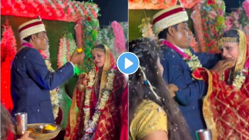 Viral News Bride And Groom Fight Over Laddu In Wedding Ceremony Video Viral News In Marathi trending today