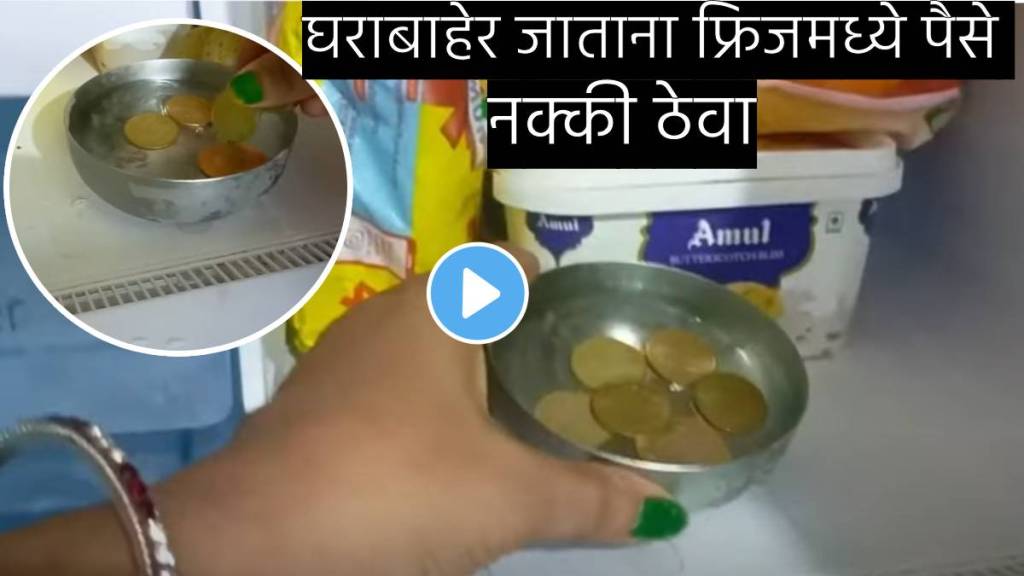 kitchen tips in marathi put money coin in fridge kitchen and see shocking result jugaad video viral