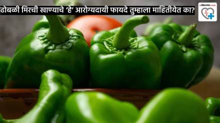 nutrition alert capsicum health benefits