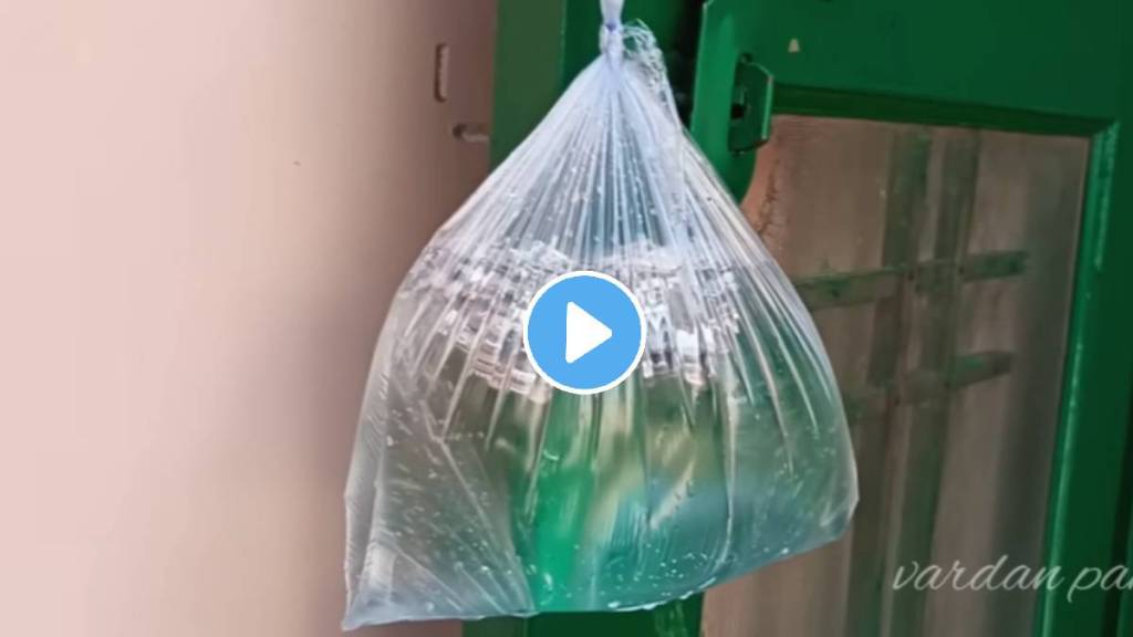 kitchen tips in marathi hang water fill plastic bag on door keep away flies lifestyle hacks kitchen jugaad video