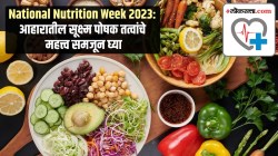 National Nutrition Week 2023 : आहारातील सूक्ष्म पोषक तत्वांचे महत्त्व समजून घ्या