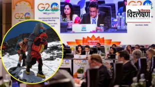 Who are G20 Sherpas and what is their role in the G20 Summit