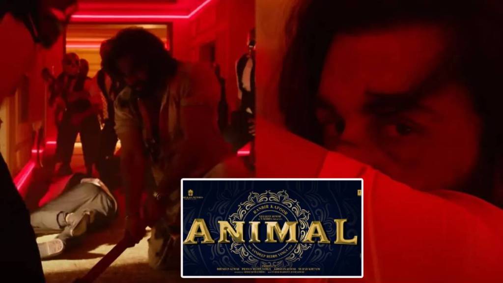 animal-teaser-date