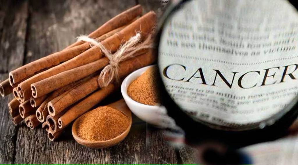 benefits of cinnamon for cancer patients