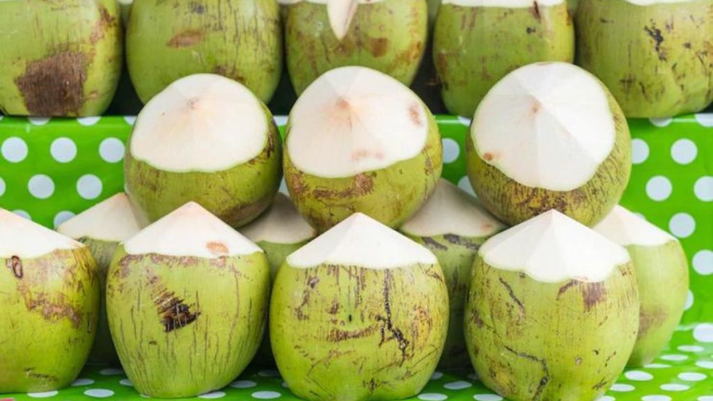 drink coconut water benefits when to have What Is The Best Time to Drink Coconut Water