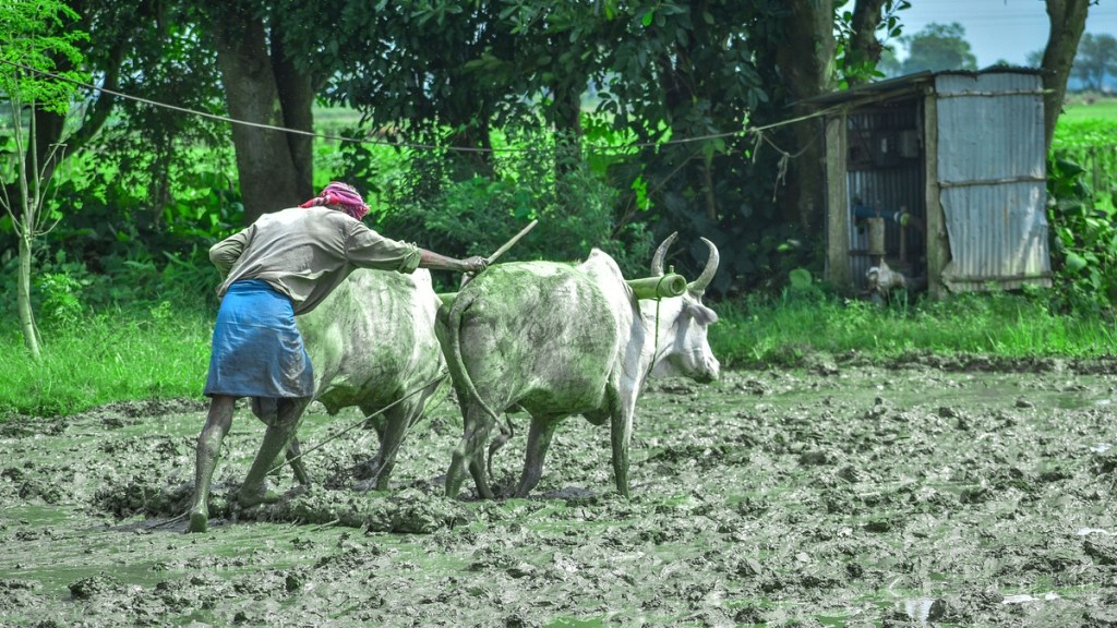 farmers land