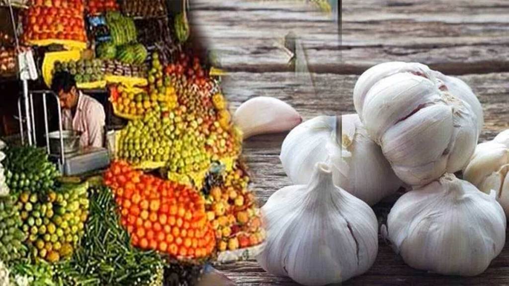 garlic rate increased by 10 to 20 percent in pune wholesale market