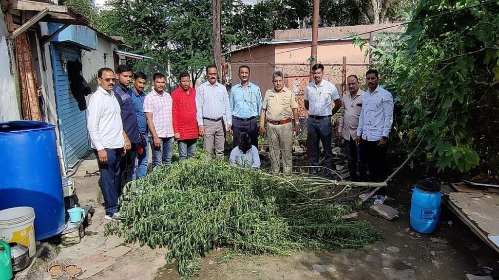 ganja farm front of house