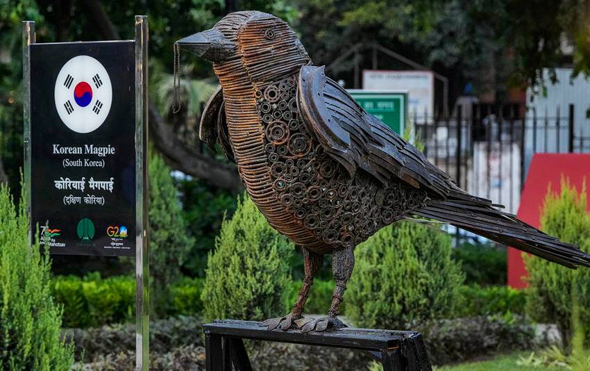 bird national of south korea