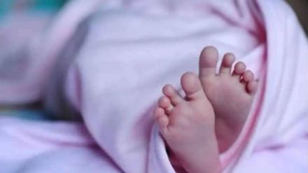 One new born dies every 39 minutes