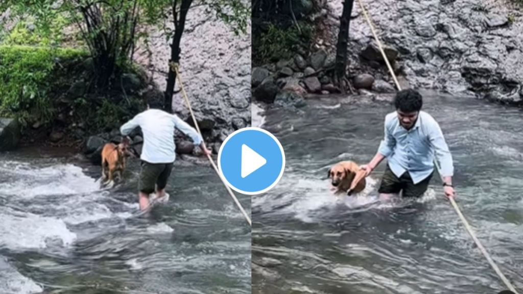 a young man save dogs life in Devkund waterfall jungle trek flowing spring netizens appreciated for helping video goes viral