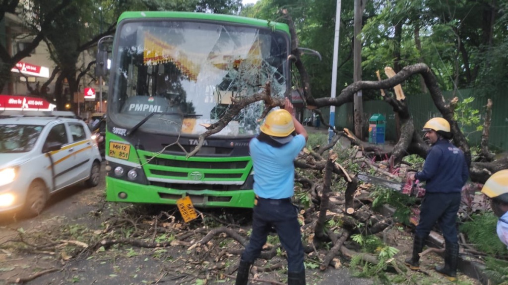 tree fell PMP bus Fergusson Road, Pune