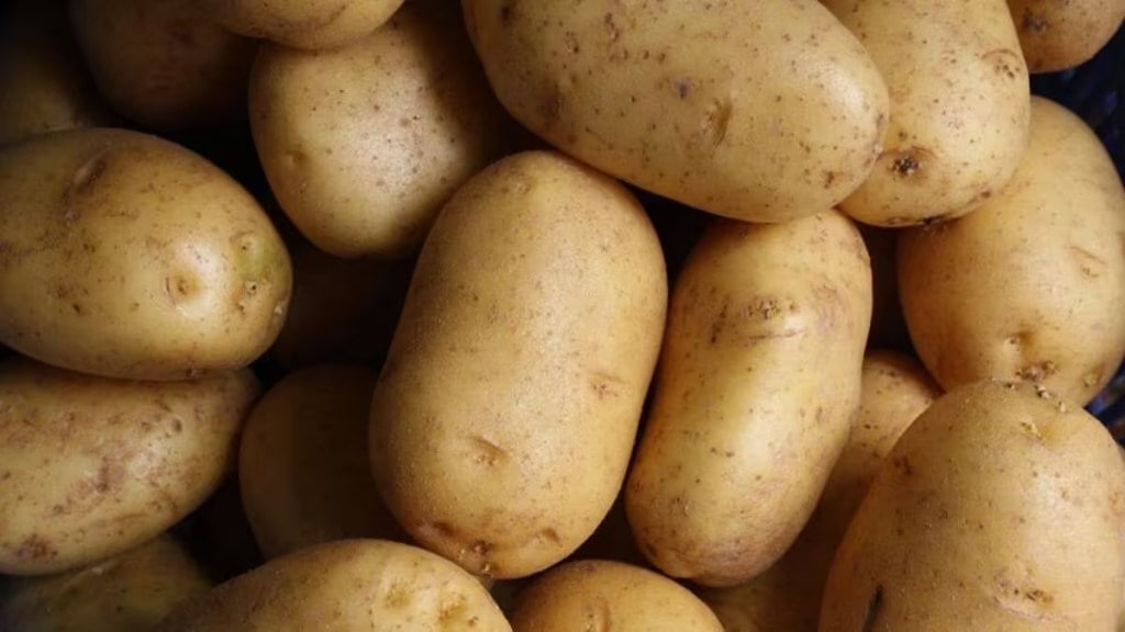 potato, APMC market ,Potato price hike