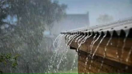 heavy rain lashed raipur area in buldhana