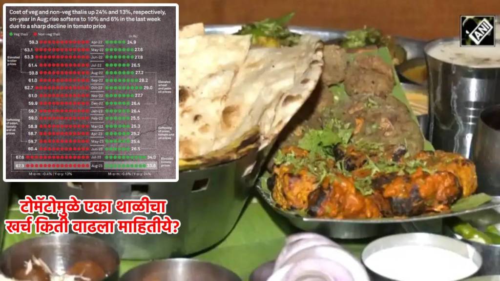 veg non veg thali cost