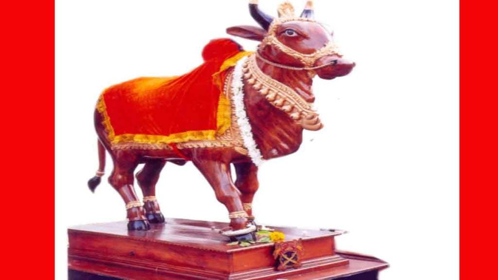 wood bulls on pola festival nagpur