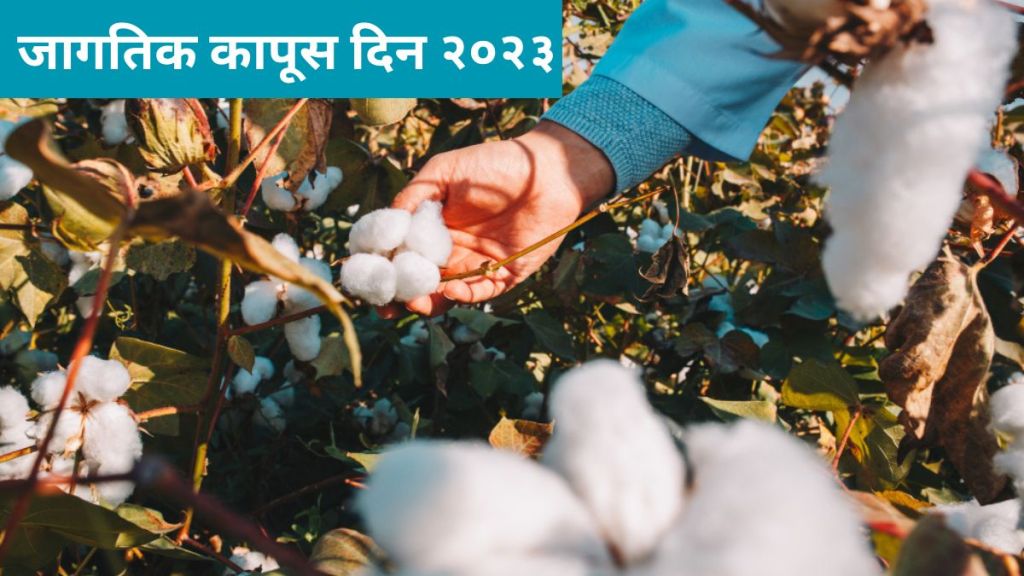 World Cotton Day 2023 significance in Marathi