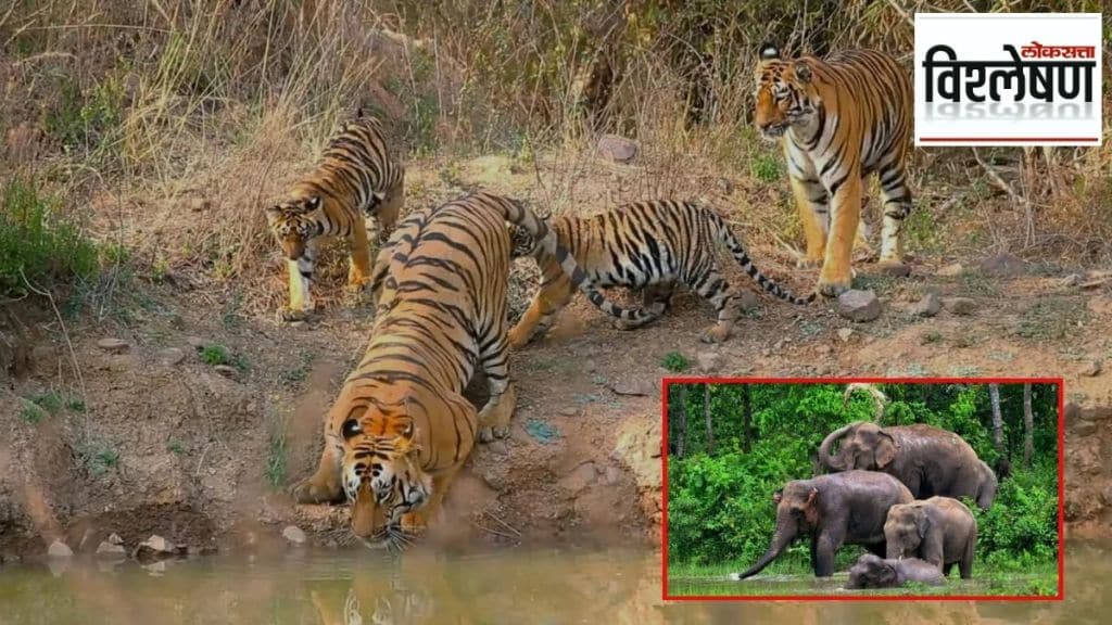 Elephant Camp in Pench Tiger Project