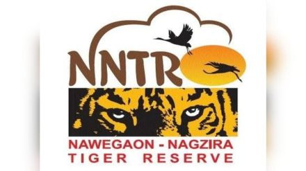 Nagzira Tiger Reserve Safari Begins