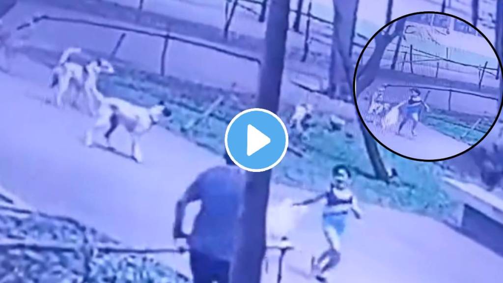 Dogs attacks a kid in Lodha Amara complex in Kolshet in Thane video viral