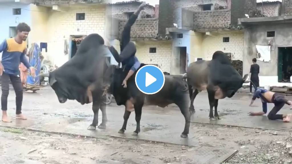 Angry bull attacked on man Shocking Video Viral On Social Media