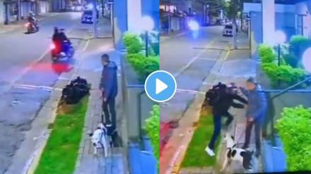 Viral Video Of Dog Saving his Owner dog fight with attackers trending video