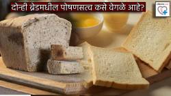 White Or Whole Wheat Bread: ब्रेड खायची इच्छा होतेय? बिनधास्त खा, पण निवडताना ‘ही’ माहिती तपासा