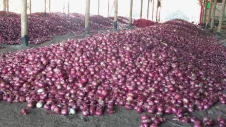 Onion auction Nashik district