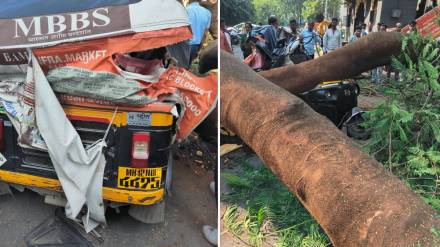 tree fell on rickshaw Kothrud area