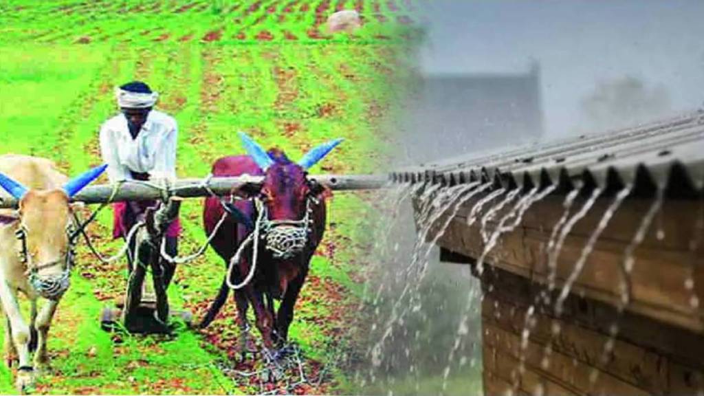 rain Maharashtra