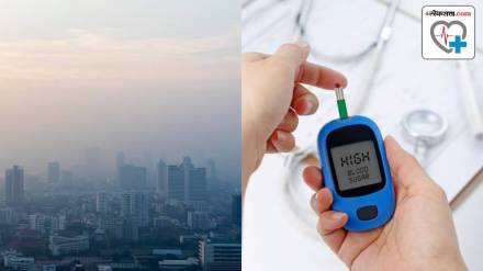 AIIMS study shows PM 2 5 pollutants can increase Type 2 diabetes How does long term exposure affect you