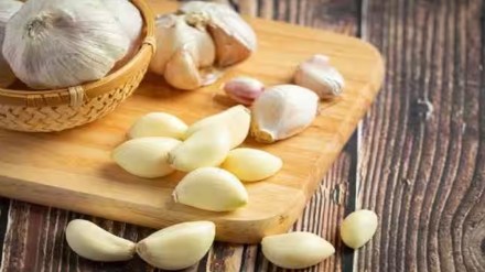 garlic benifits for health