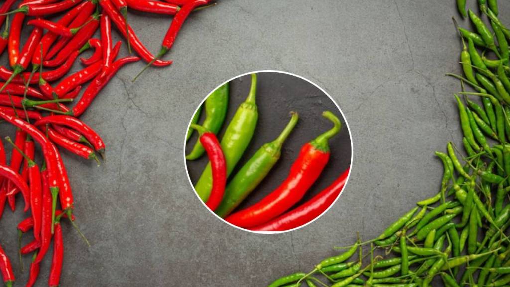 Green Chilli or Red Chilli: Which one is healthier?