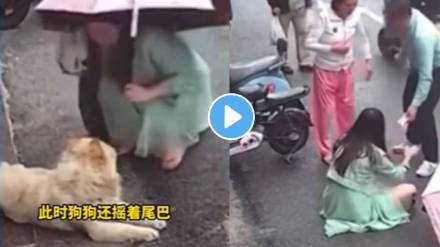 Dog attacked on face of a woman shocking video goes viral