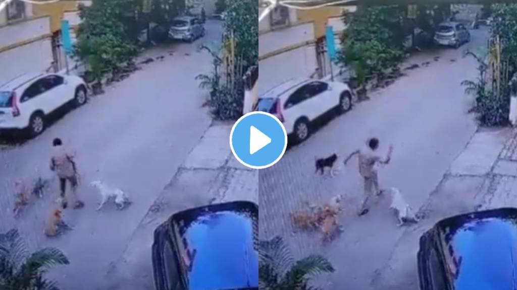 5 Street Dogs Brutally Attack Mumbai Postman Caught On cctv shocking video viral