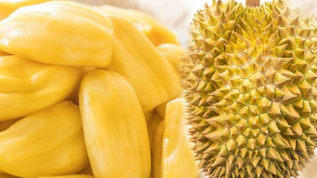 after eating jackfruit do not eat these things even by mistake