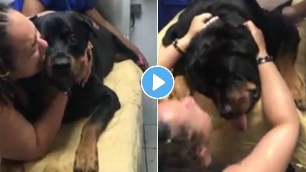 Dog Death in hospital woman cried like a human had died emotional video