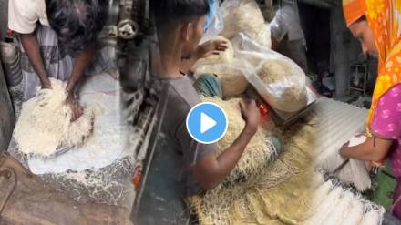 Have You Ever Seen How Noodles Made In Factory This Video Goes Viral People Shocked After Watch Do Not Eat Noodles again