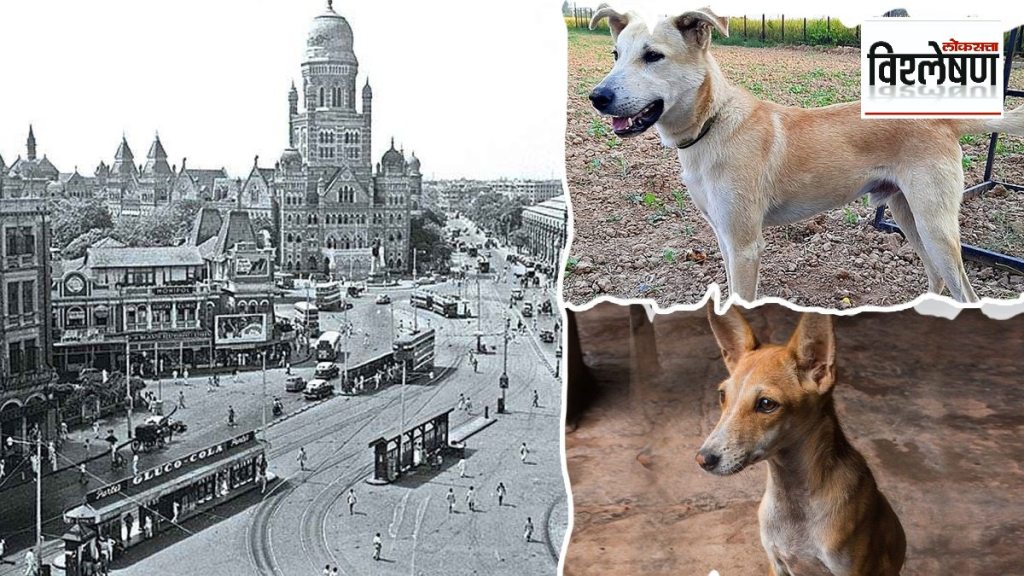 A riot broke out in the history of mumbai due to stray dogs