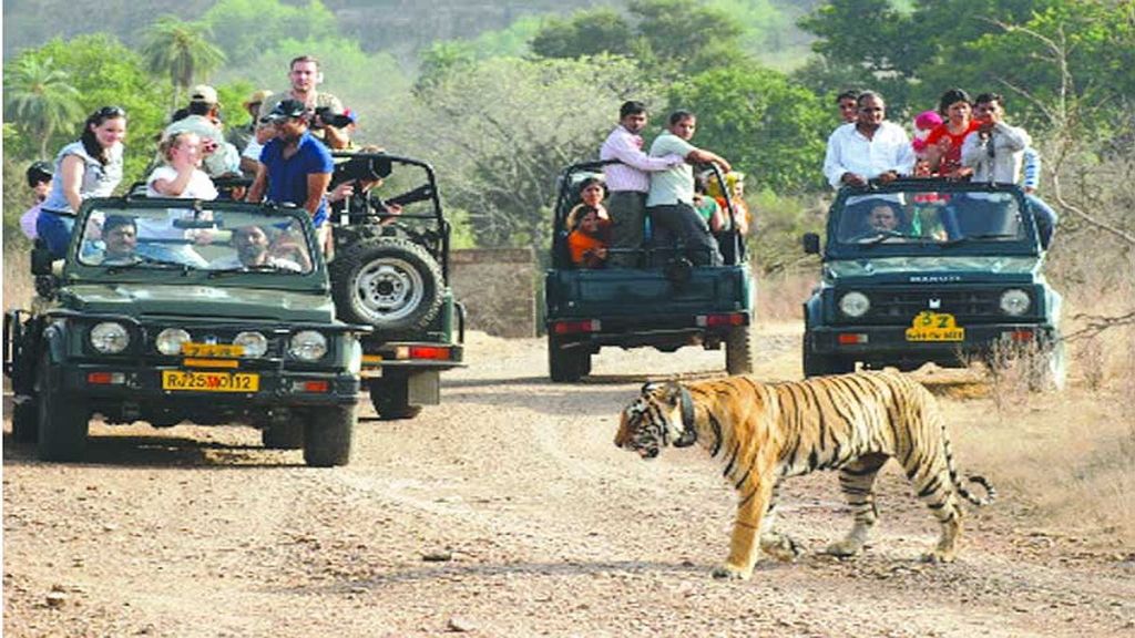 Sahyadri Tiger Reserve