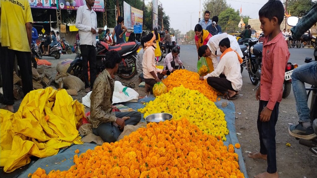 prices of marigold flowers