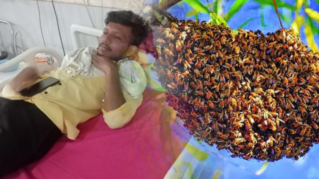 DJ's voice caused bees flew, Citizens injured bees stung, devi visarjan nagpur