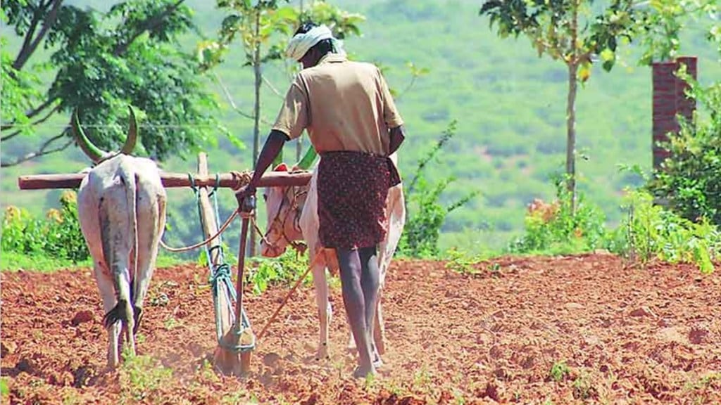 Chandrapur Farmers, Mahatma Jyotirao Phule Karjamukti Yojna, 22500 Farmers Ineligible For Karjamukti Yojna in Chandrapur