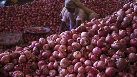 nashik onion farmers, price of onion, onion price increased by rs 500, rupees 500 increase in onion price